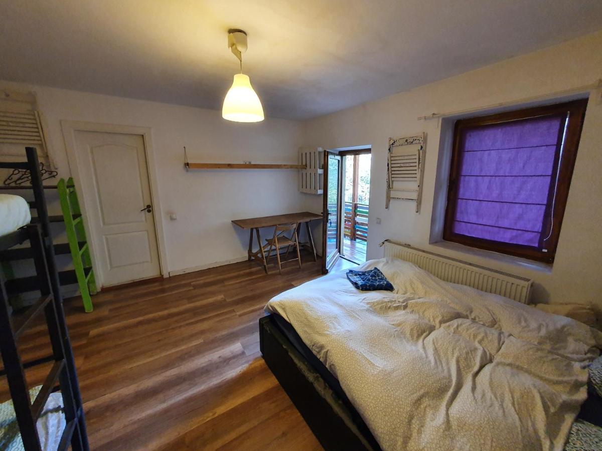 Zen Hostel كلوج-نابوكا المظهر الخارجي الصورة