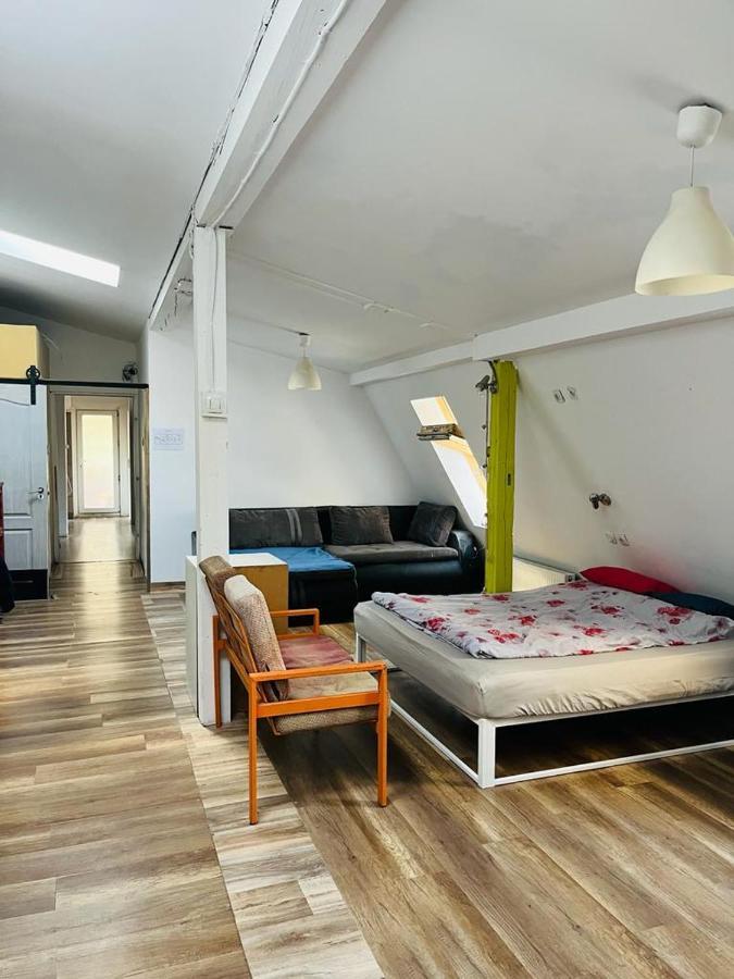 Zen Hostel كلوج-نابوكا المظهر الخارجي الصورة