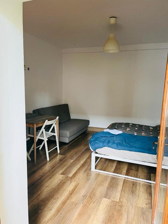 Zen Hostel كلوج-نابوكا المظهر الخارجي الصورة